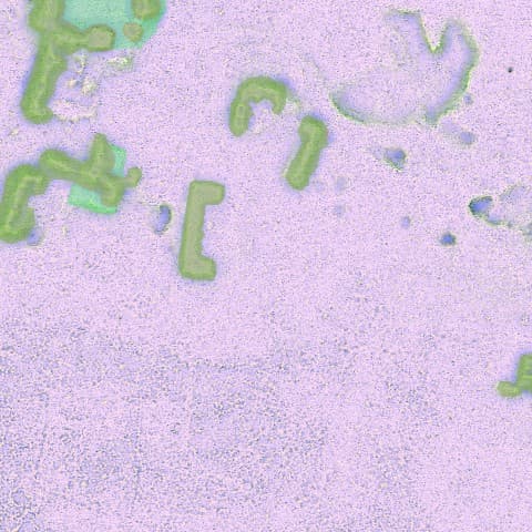 Expert labels for Chactún tile 0069 — complex Maya platform layout in green